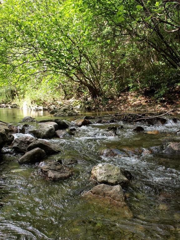 فندق Domaine Des Agnelles Villedaigne المظهر الخارجي الصورة